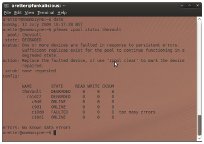 NAS disk failure output